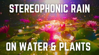 STEREOPHONIC RAIN ON WATER amp PLANTS  Black Screen  12 Hours  No Midway Ads  Relax Sleep Focus [upl. by Caddaric]