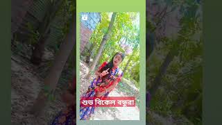 বাঁশরী বাজাইও না শ্যাম বাজাইওনা বাঁশি❤️Viralsohrts video love [upl. by Naggem]