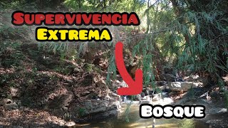 EN BUSCA de ALIMENTOS en MEDIO del BOSQUE SUPERVIVENCIA EN EL BOSQUE [upl. by Gonick806]