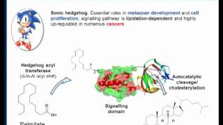 Chemical proteomics a powerful tool for exploring protein lipidation by Edward Tate [upl. by Strickman]