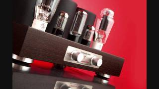 Trafomatic Audio Experience Two300b [upl. by Urbanna]