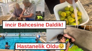 Kusadasi Vlog Ortaklar Koyu ve incir Bahceleri Sicaktan Kurdesen Doktuhollandadanatesailesi [upl. by Shaff67]