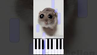 Sad Hamster Violin Meme  Piano Tutorial [upl. by Daughtry617]