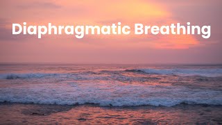 Diaphragmatic Breathing How To amp 2 Minute Exercise for Pain Control [upl. by Htiekal]