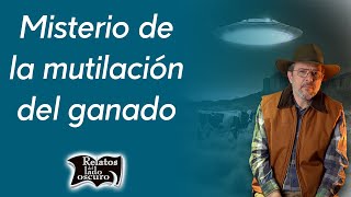 Misterio de la mutilación del ganado  Relatos del lado oscuro [upl. by Burchett]