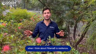 The resilience of Filterra bioretention systems [upl. by Jannery]