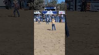 Mutton busting bullriding cowboys rodeodr rodeo rodeos rodeosport pbr horse bullride [upl. by Ellednek331]