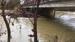 Logs jam at Cumberland County bridge [upl. by Vijnas266]