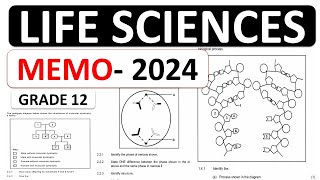 MEMO 2024 LIFE SCIENCES P2 GRADE 12 2024 LIFE SCIENCES GRADE 12 MEMO 2024 NOVEMBERTHUNDEREDUC [upl. by Tsyhtema]