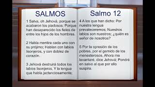 LA BIBLIA HABLADA SALMOS 1 AL 150 COMPLETO ANTIGUO TESTAMENTO [upl. by Dlanor199]