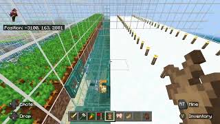 Minecraft Bedrock Rabbit Foot Farm  3 stacks an hour [upl. by Notled564]