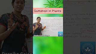 Guttation in Plants class10science deepikasciencecorner guttationinplants science biology [upl. by Kenwee]