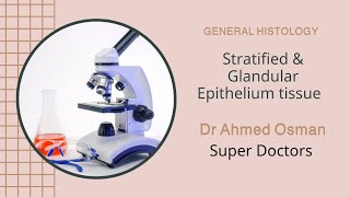 Stratified amp Glandular Epithelium General Histology [upl. by Esyla380]