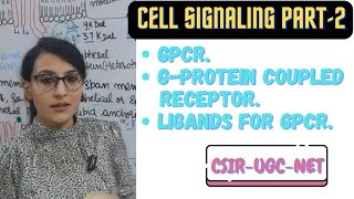 GProtein Coupled Receptor  GPCR Cell Signaling [upl. by Udell]