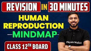 HUMAN REPRODUCTION in 30 Minutes  Class 12th CBSE  Revision MindMap [upl. by Olraced]