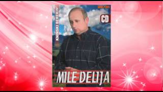 Mile Delija  Pusto polje  Audio 2006 [upl. by Shannah132]