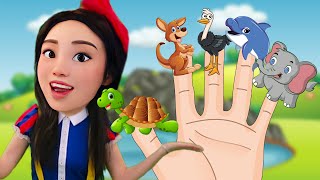 Mammals Finger Family  Nursery Rhymes  DoReMi Kids Songs [upl. by Barde]