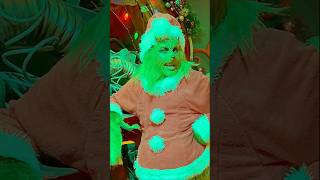 New Grinch Grinchmas Funniest Meet and Greet EVER Universal Studios [upl. by Dnomar]