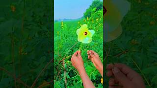 Ilove shayari phoolon ka 😱🌹😃shorts viralvideo [upl. by Cj]