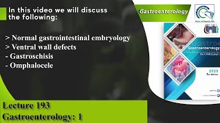 Normal Gastrointestinal embryology  Ventral wall defects  Gastroschisis  Omphalocele [upl. by Ramedlav]