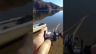 lake fishing Abu5000c heddon Crazy crawler [upl. by Marje839]