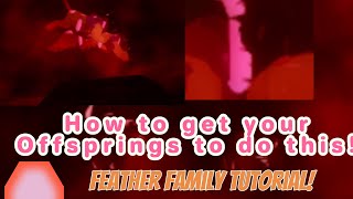 How To Get Your Offsprings To Do This  Feather Family Tutorial [upl. by Antonina]