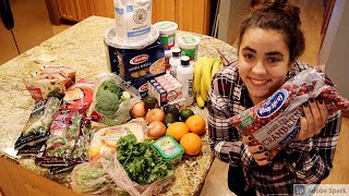 A Grocery Haul for Thanksgiving Prep and Large Freezer Meal Day [upl. by Mab]