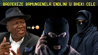 Zyashaqisa izinsongo azitholile zigqekeze bagulukudeka emzini wakhe u Bheki Cele izigebengu [upl. by Einad667]