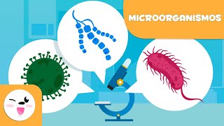 ¿Qué son los Microorganismos  Las bacterias los virus y los hongos para niños [upl. by Ettebab]