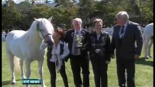 The 2011 Connemara Pony Show Clifden Ireland [upl. by Nohsreg]