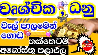 ලග්න පලාඵල  Lagna palapala  August Astrology Predictions 2024  Scorpio2024  sagittarius2024 [upl. by Strephon576]