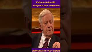 Helmut Schmidt Allegorie der Vernunft politics kokoharry shorts allegoriedervernunft [upl. by Aman]