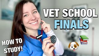 VET SCHOOL FINAL EXAMS everything you need to know about vet school exams format  how to study 🐾 [upl. by Gifford999]