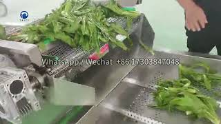 Automatic Bubble Washing Drying Machine  Leafy Vegetable Washing Line [upl. by Sherrill]