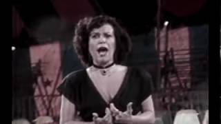 Elis Regina canta O Bêbado e a Equilibrista Fantástico 1982 [upl. by Brig]