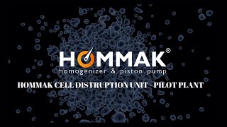 HOMMAK®  Pilot Plant  Cell Distruption Unit [upl. by Urd]