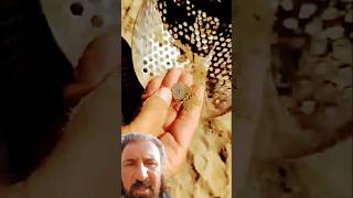 treasure silver gold detector viralvideomachine کنوز shortvideos [upl. by Aneehsyt554]