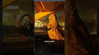 📯🚗owl driving🚗📯funnyshorts funny funnyanimals leopartnik animals birds youtubeshorts [upl. by Cesare]