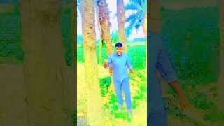 মুঝে আতা নেহি হেeela eeel song [upl. by Ahsihat]