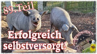 Lohnt sich Schweinehaltung zur Selbstversorgung 89 Projekt Fachwerkhaus [upl. by Dianna653]