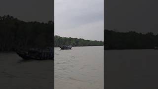 Discover the Beauty of the Sundarbans River MustVisit Tourist Spots nature sundarban [upl. by Gretal]