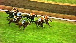 1983 Melbourne Cup  Kiwi [upl. by Kavita263]