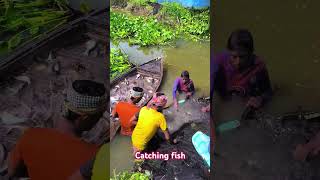 Fishing video Fishing in the pond fishing fishingvideo pondfishing catchingfish [upl. by Truman213]