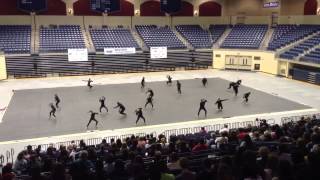 Diamante Winterguard 2014 [upl. by Htelimay]