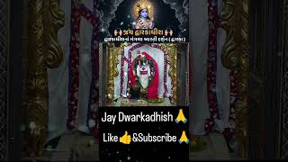 Mangada Aarti Darshan 9112024dwarkadhishaarti aartidarshan viralvideo sorts youtubeshorts [upl. by Irahs]