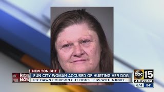 Sun City woman accused of hurting her dog [upl. by Kcinomod]