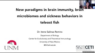 quotBrain immunity brain microbes and sickness behaviors in teleost fishquot by Dr Irene Salinas [upl. by Rufe315]