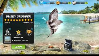 Florida 5 bosses in Fishing Clash Game [upl. by Harlamert]