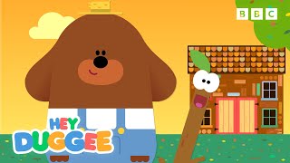 Clubhouse Harvest Fun 🍂  20 Minutes  Hey Duggee [upl. by Wills468]