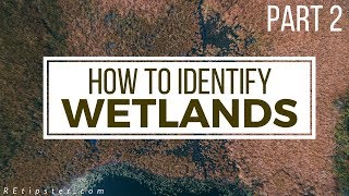 How to Identify and Avoid Wetlands  Part 2 [upl. by Yaresed451]